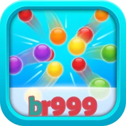 br999
